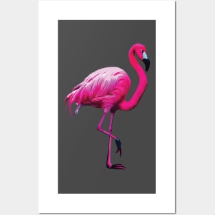 Pink Flamingo on Grey Posters and Art